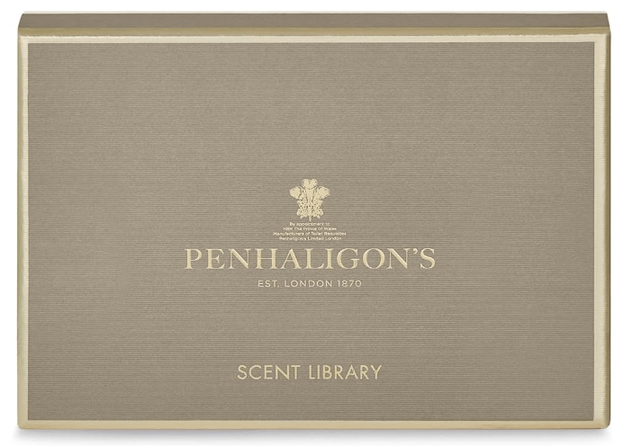 ice screenshot 20250511 124744