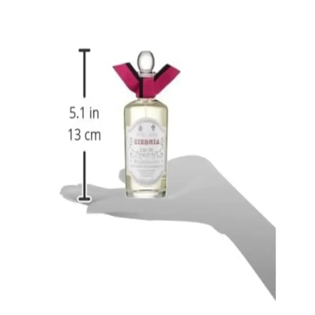 ice screenshot 20250511 130816