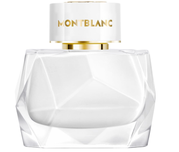 ice screenshot 20250511 151337