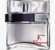 ice screenshot 20250511 201729