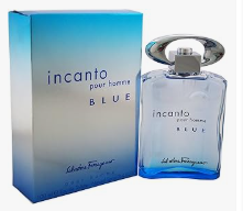 ice screenshot 20250511 202114