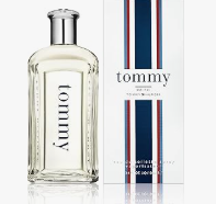 ice screenshot 20250511 214723 Copia