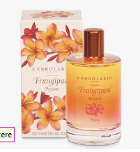 ice screenshot 20250511 232227