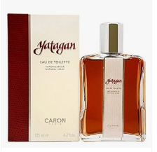 ice screenshot 20250512 053818